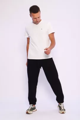 Джоггеры В-107