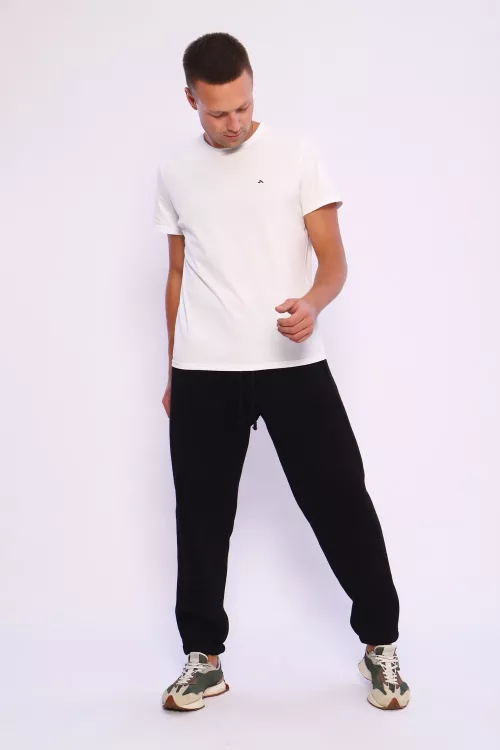 Джоггеры В-107