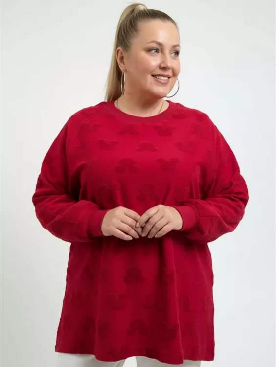 Ребека свитшот женский (махра Микки бордо)