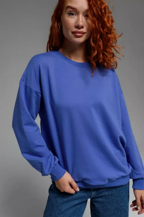 Свитшот 263917 фиолетовый последний размер