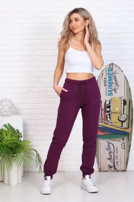 Брюки женские 8-040д (фиолетовый)