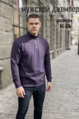 52723 Джемпер мужской