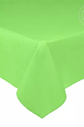 Салатовый 809_гк 240x215 809_гк