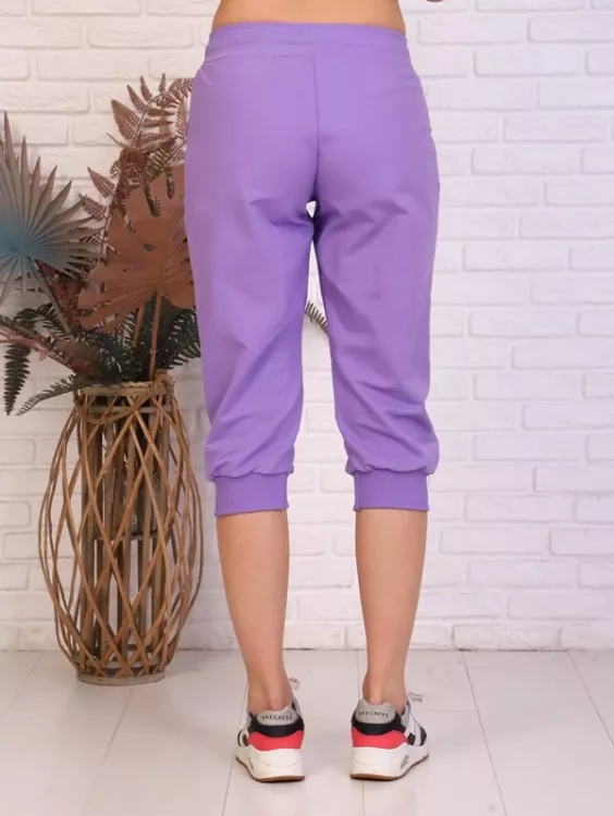 Бриджи Ричи-Лиловые