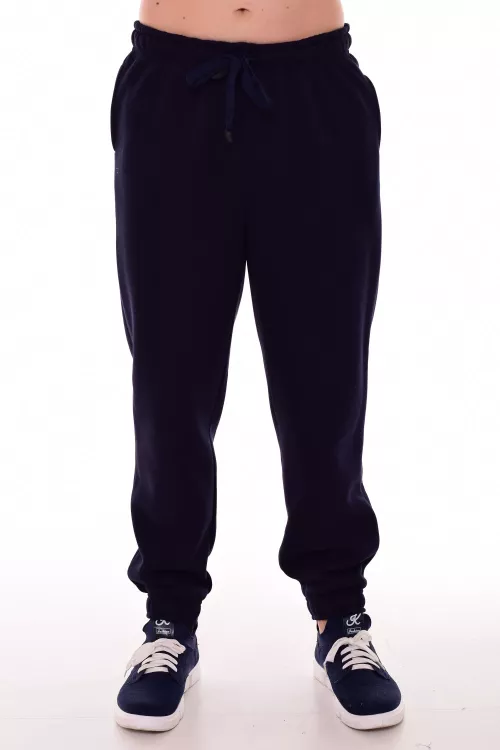 Брюки мужские 9-175а (синий)