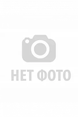 Ирбис футболка женская (чайки)