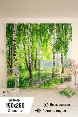 Фотошторы 10839