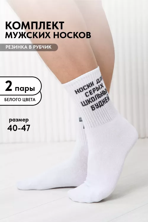 Носки мужские Школьные будни (набор 2 пары)