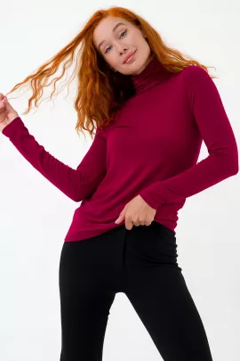 Водолазка, арт. 0263-12