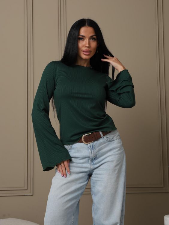 Лонгслив мод.2028/4