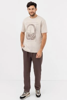 Брюки мужские 181234